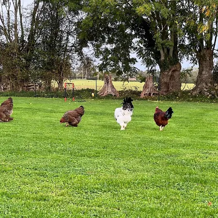 Les Mini-chaumieres * Saint-Martin-Saint-Firmin